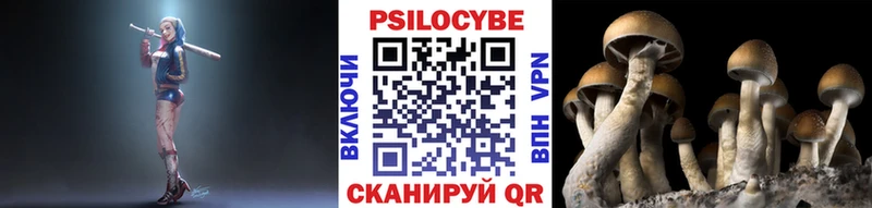 Псилоцибиновые грибы MAGIC MUSHROOMS  где найти наркотики  shop состав  Кадников  блэк спрут  